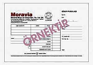 gider pusulasi 1 300x211 - GİDER PUSULASI