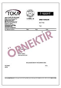 gider pusulasi 3 207x300 - GİDER PUSULASI