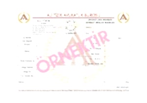 serbest meslek makbuzu3 300x211 - SERBEST MESLEK MAKBUZU