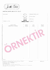 sevk irsaliyesi 8 212x300 - Sevk İrsaliyesi Örneği