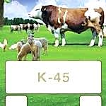 k45 4fb392f1 eac2 44af 98d4 4c385153fe6d 150x150 - Takvim 2020