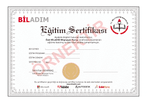 Biladım Sertifika 300x211 - Biladım Sertifika