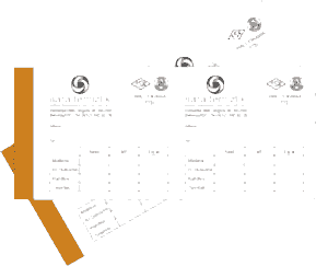 Halı Yıkama Fişi 4 300x243 - Halı Yıkama Fişi 4